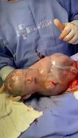 Naissance pop 
