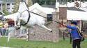 Cheval volant