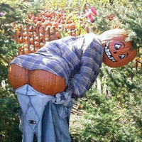 Reconversion de Léguman.