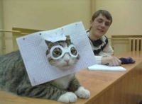 Chat à lunettes 
