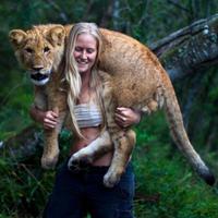 Écharpe lion