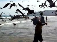 Le retour du pêcheur