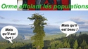 C'est presque ça...
