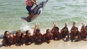 Saut à la plage