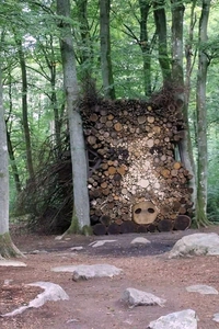 Sanglier silencieux dans la forêt