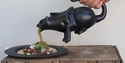Saucière chat
