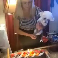 L’anniversaire de poupoune
