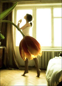 Tutu tulipe
