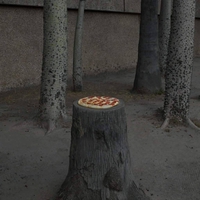Pizza au f... non, non, au bois tout simplement !