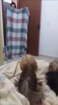 Un débat constructif 