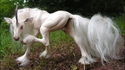 une licorne...