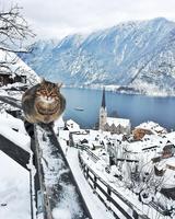 Que pourrait-il dire, ou penser ?