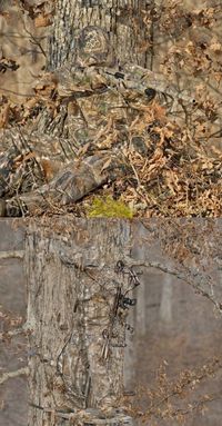Chasseurs invisibles