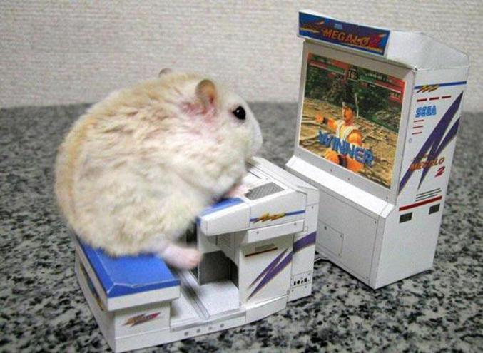 Une borne d'arcade pour hamster
