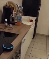 Humour, net et sans bavure. 