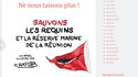 La pêche aux requins à la Réunion