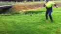 Une attaque féroce