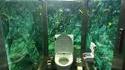 WC aqueux