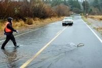 Pas la bonne rivière