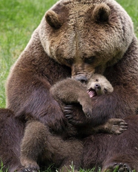 Un gros câlin