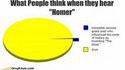 Sondage Homer