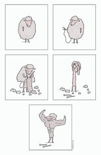 Une histoire de laine
