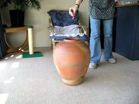Le chat et le vase