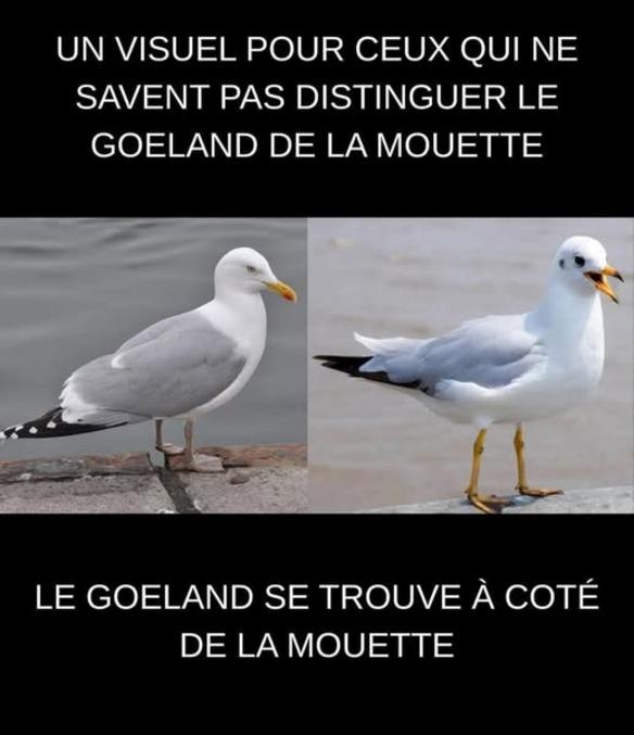 Alors ?