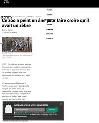 Un zèbre qui brait !