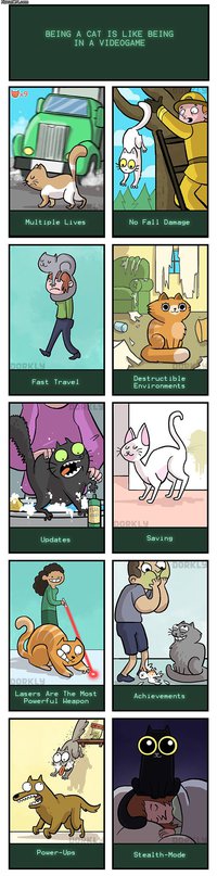 Être un chat, c'est un peu comme être dans un jeu vidéo