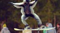 Lémurien snowboarder