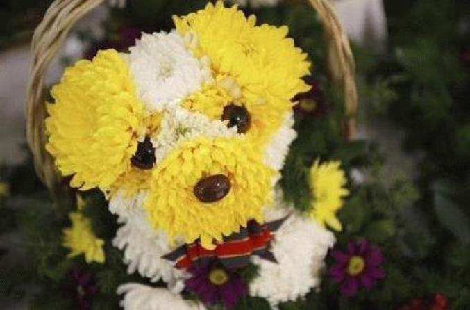 Un bouquet de fleurs réalisé pour ressembler à une tête de chien.