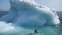 Petite nage près d'un iceberg