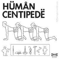 Human Centipede
