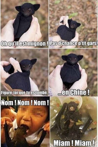 Autres temps de repas, autres moeurs de cuisine...