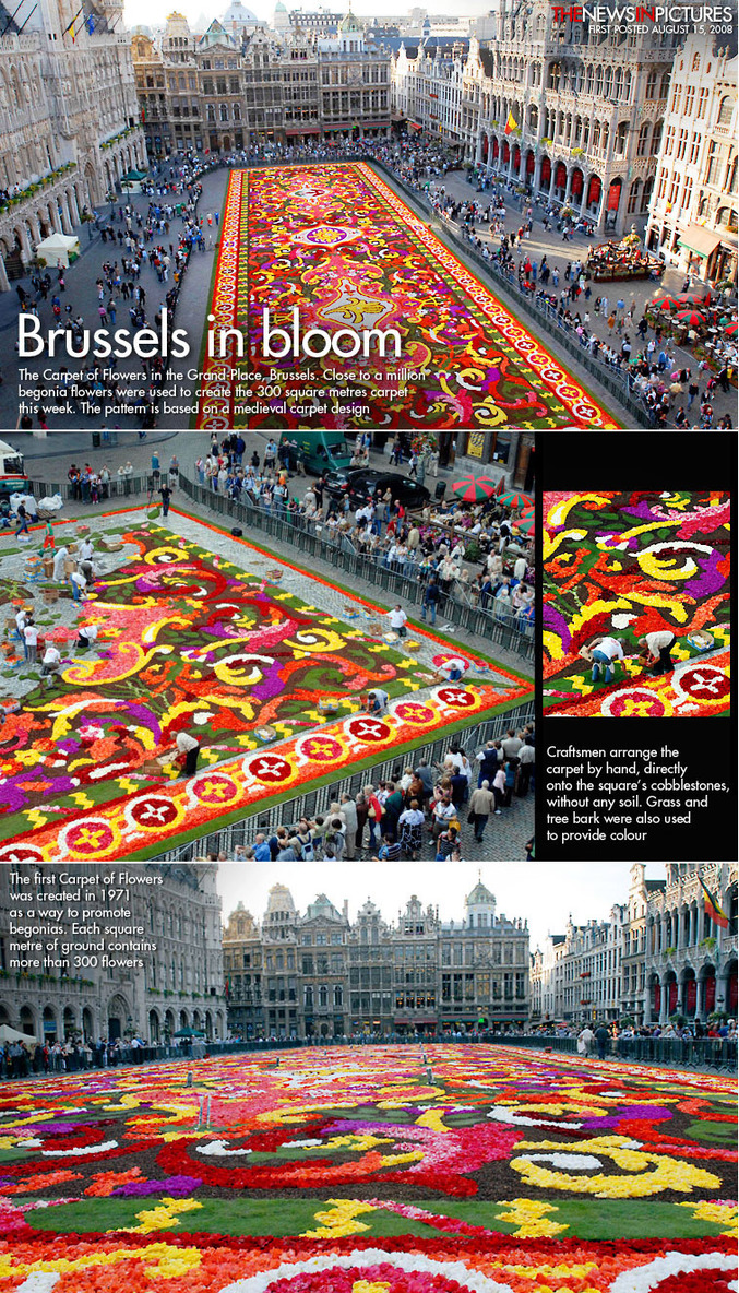 Un immense tapis de fleurs réalisé sur la grande place de Bruxelles.