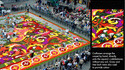 Tapis de fleurs