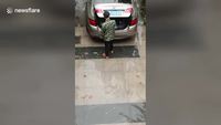 Kan tu récupères tes courses