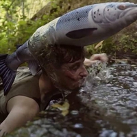 Monsieur Saumon remonte les rivières