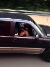 Les camionneurs ont quand même un meilleur point de vue