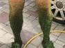 Cosplay CETELEM en progression
