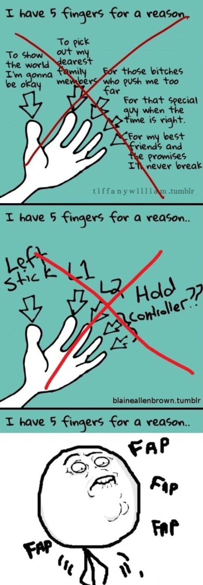 La raison pour laquelle nous avons cinq doigts.