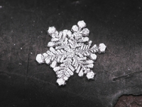 Âmes sensibles s'abstenir