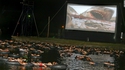 Aaaah le cinéma en plein air, j'adooooore !