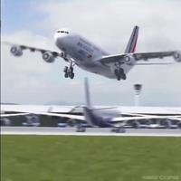 Airbus dans son environnement naturel