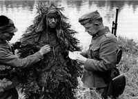 Gros de la forêt arrêté par la brigade de répression fiscale