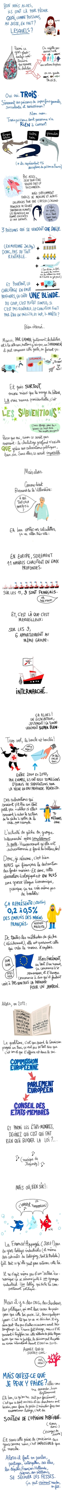 Le fonctionnement de la (sur-)pêche industrielle en eaux profondes