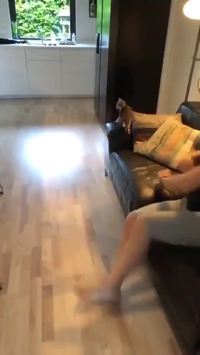 Coup de petit FDP dans l'dos