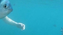 Un bras de mer