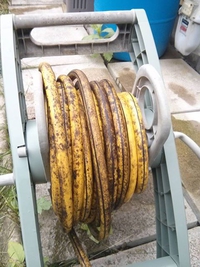 Rouleau de banane